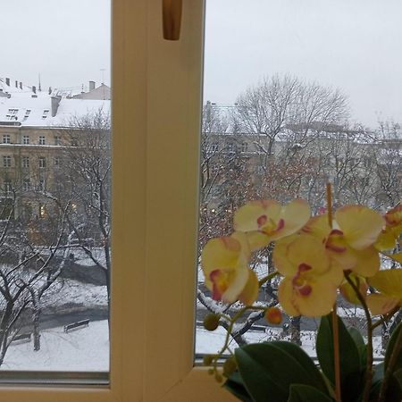 Apartment On Historical Center Of Lviv Eksteriør billede